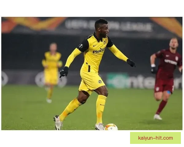 维罗纳球队结构分析：竞争力增强，表现稳健值得关注