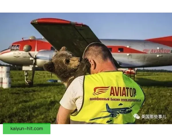 俄罗斯国家队“熊军团”近期表现稳健，竞争力持续提升